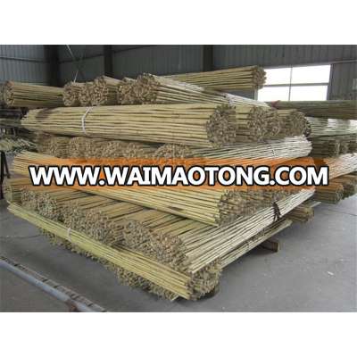 Dry Straight agriculture cheap raw Bamboo Poles manufactures for garden plant